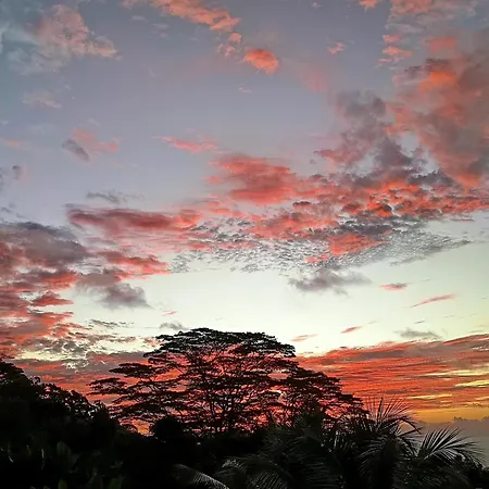 My Paradise