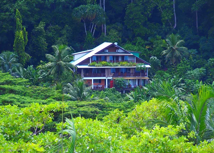 My Paradise