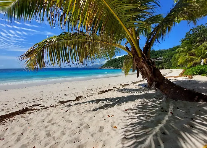 Apartment My Paradise Baie Lazare (Mahe)